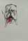 afterbirth