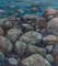 rocky shore onuku
