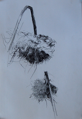 artichokes2