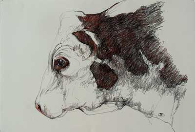 bull's head