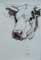 cow's head